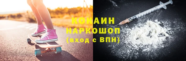хмурый Ельня