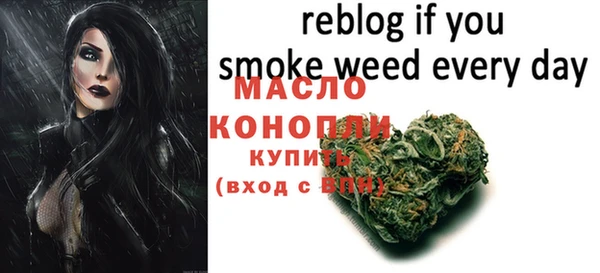 хмурый Ельня