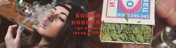хмурый Ельня