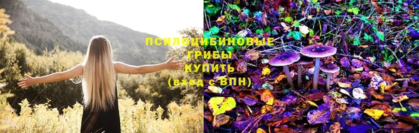альфа пвп Заволжье