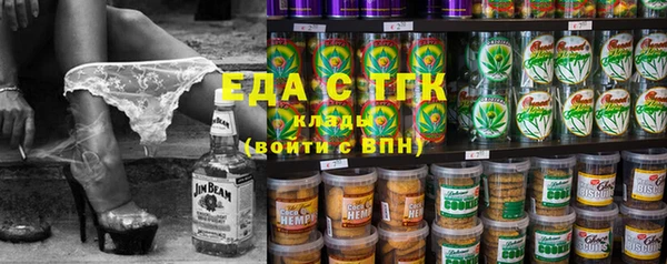 хмурый Ельня