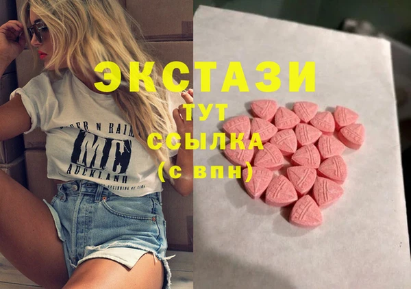 хмурый Ельня