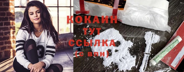 хмурый Ельня