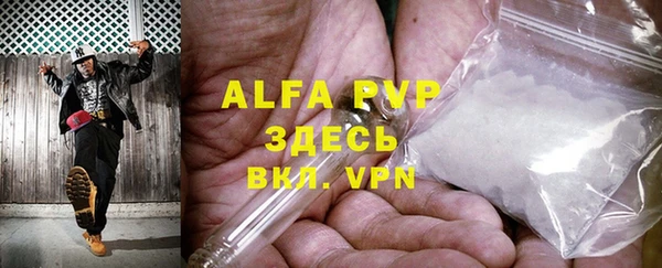 хмурый Ельня