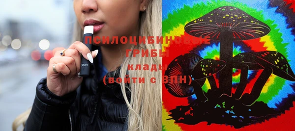 хмурый Ельня