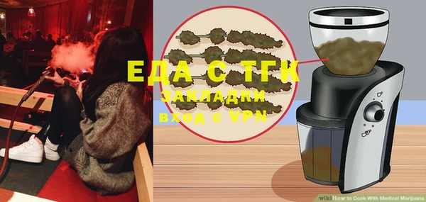 хмурый Ельня