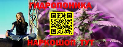 каннабис Усть-Джегута