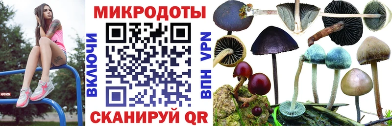 Галлюциногенные грибы мицелий  Ангарск 